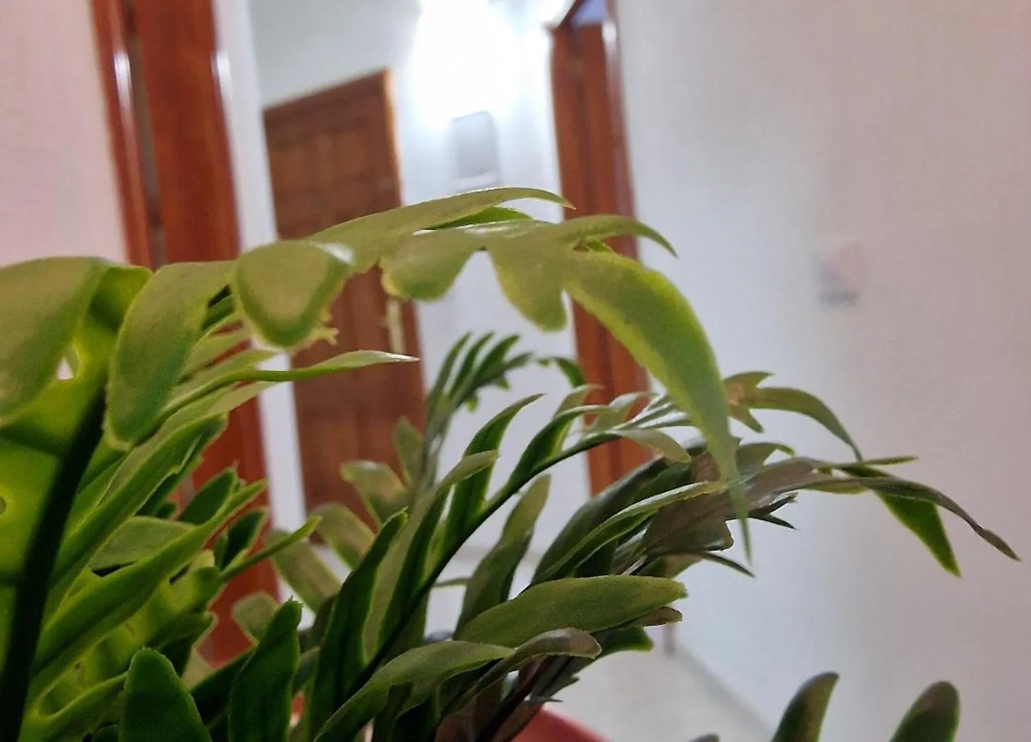 Apartment De Villa Suites Santa Cruz de Tenerife